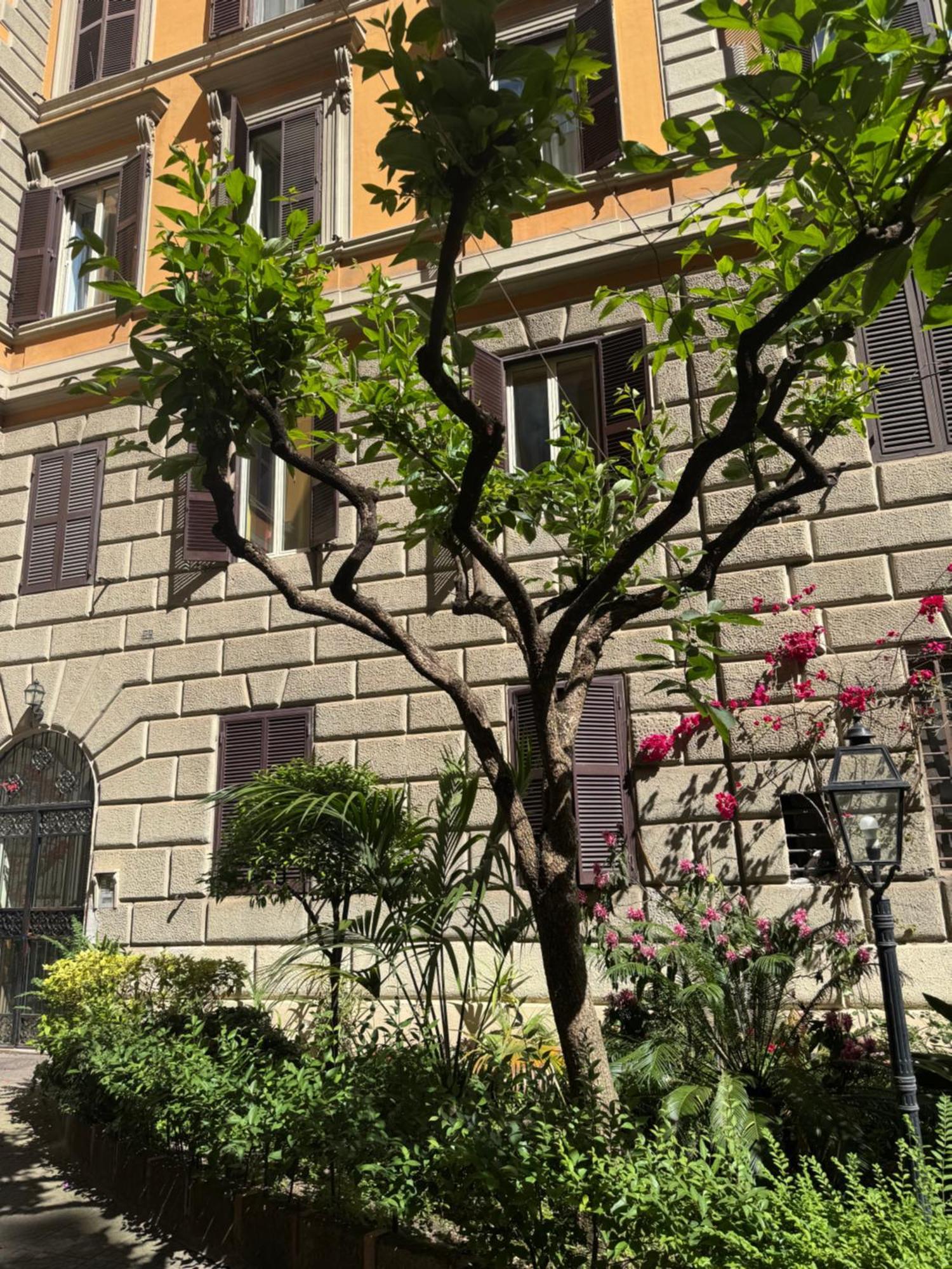 Appartamento Larisarooms Roma Ngoại thất bức ảnh
